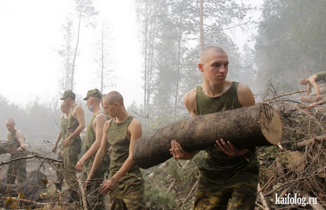 Русская армия всех сильней (55 фото)