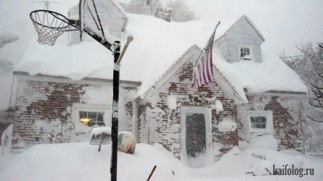 Зима напала на Америку (50 фото)