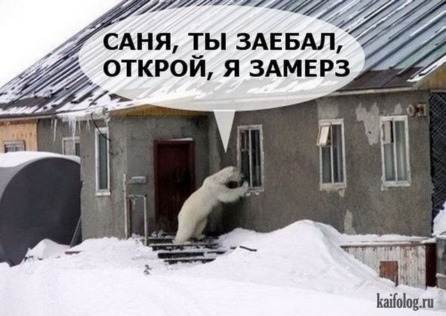 Русская зима (55 фото)