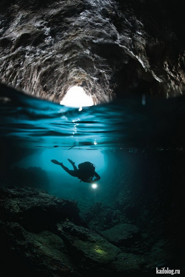 Наполовину под водой (45 фото)