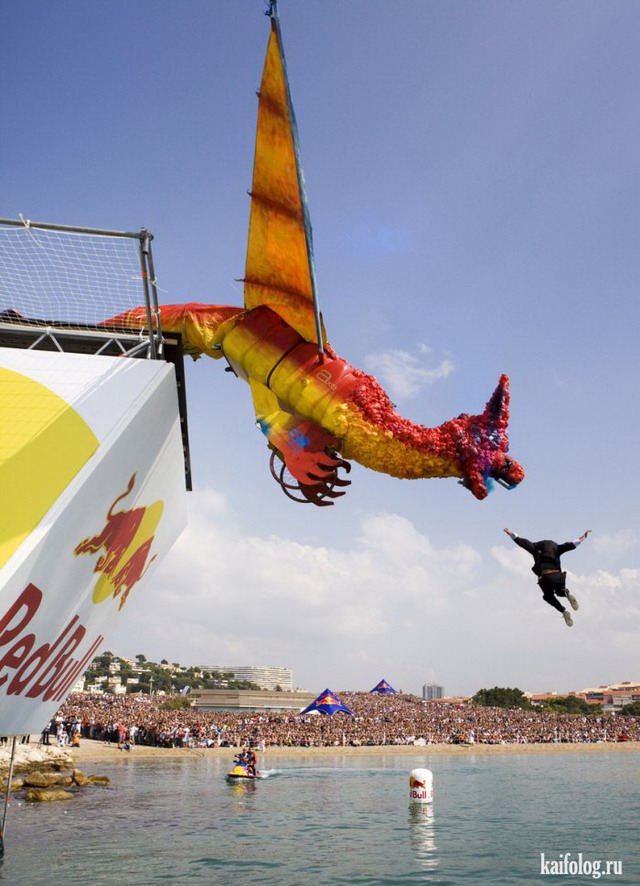 Red Bull Flugtag (40 фото)