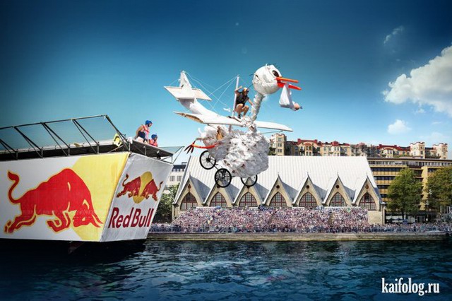 Red Bull Flugtag (40 фото)