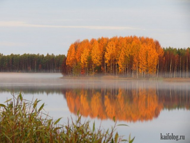 Красивая осень (60 фото)