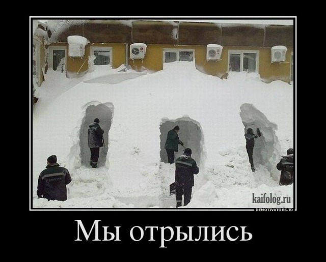Демотиваторы про зиму (45 фото)