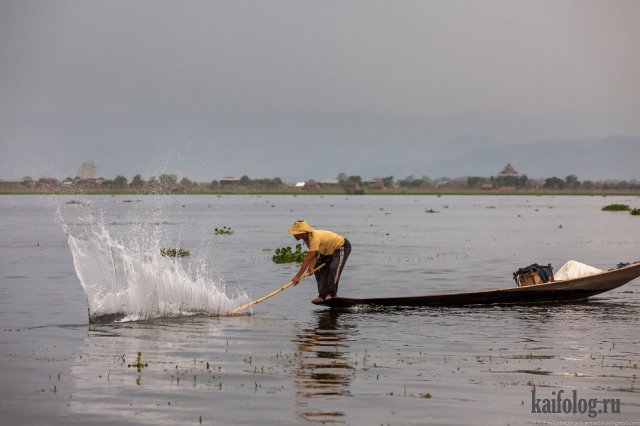 Мьянма (45 фото)