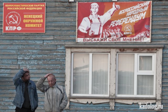 Русские фото приколы и идиотизмы (75 фото)