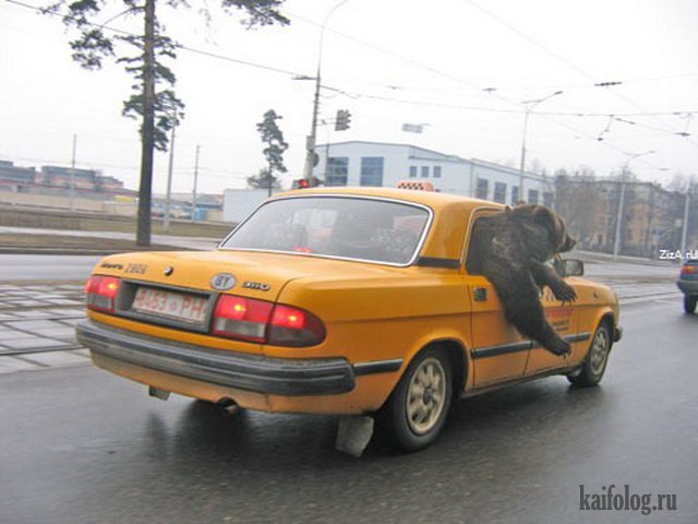 Прикольное такси (50 фото)