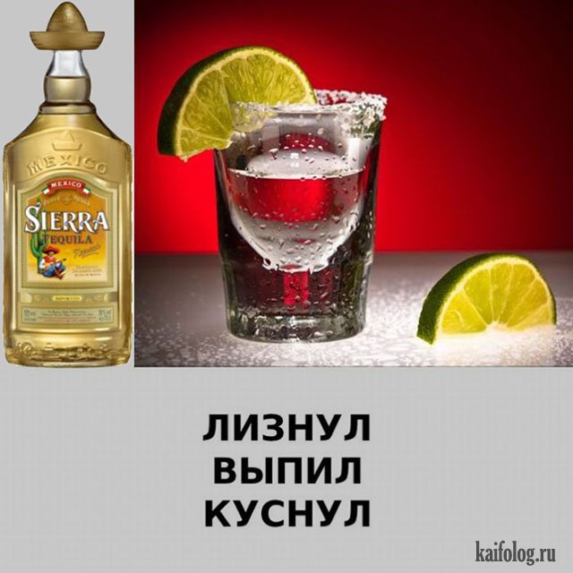 Действие алкогольных напитков (8 картинок)