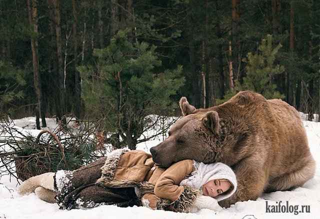 Русские приколы про животных (45 фото)