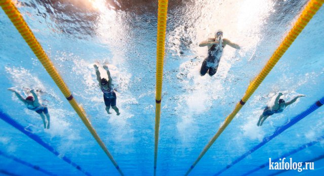Лучшие фото с Олимпиады в Рио 2016 (50 фото)