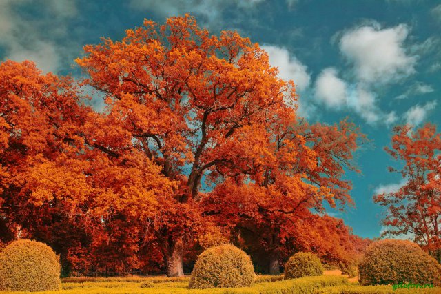 Осень (55 фото осени)