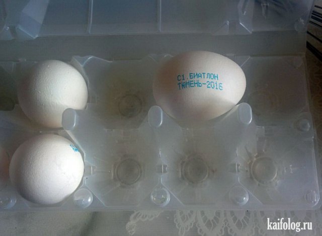 Приколы про яйца (45 фото)