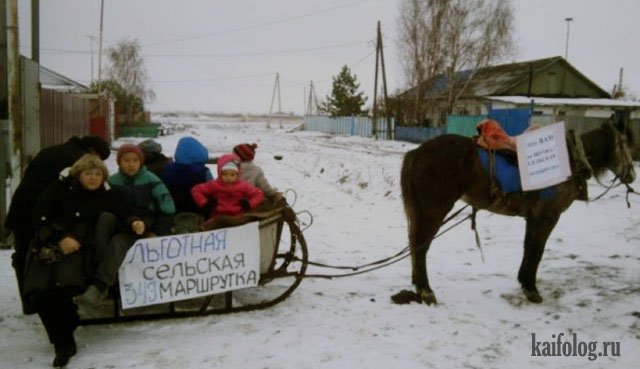 Приколы города Омск (50 фото)
