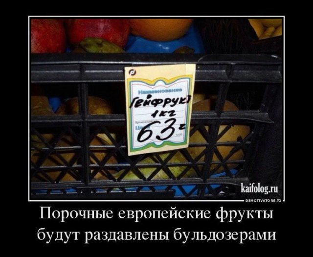 Русские демотиваторы года (110 штук)