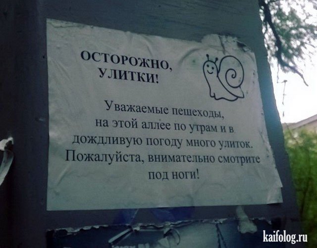 Украинские маразмы (50 фото)