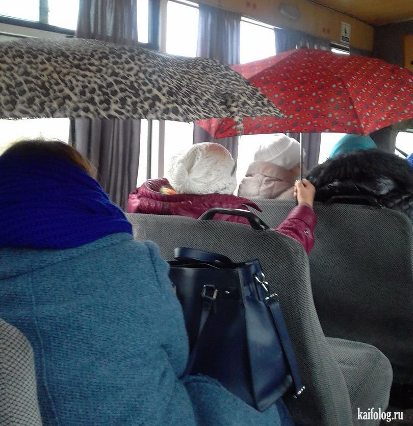 Случай в общественном транспорте. Приколы пассажиры в автобусе. Автобус прикол. Зонтик в автобусе. Маршрутка прикол.