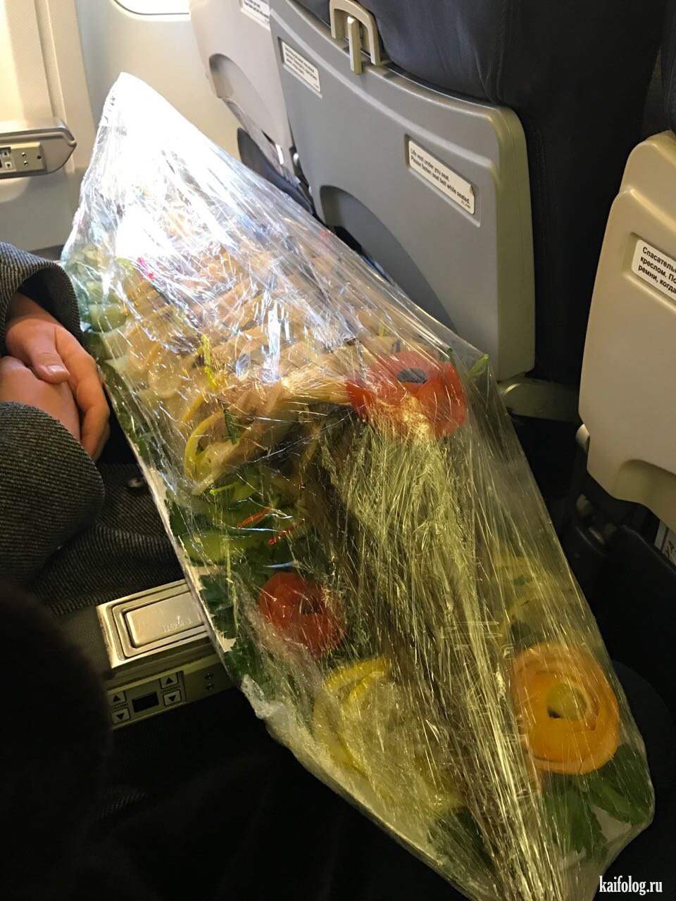 Растение в самолет можно. Перевоз растений в самолете. Рыба в ручной клади в самолете. Провоз травы в самолете. Необычные вещи в аэропорту.