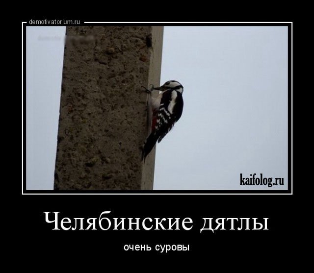 Правдивые русские демотиваторы (40 фото)