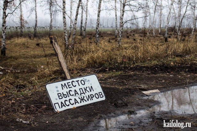 Русские маразмы и приколы (60 фото)