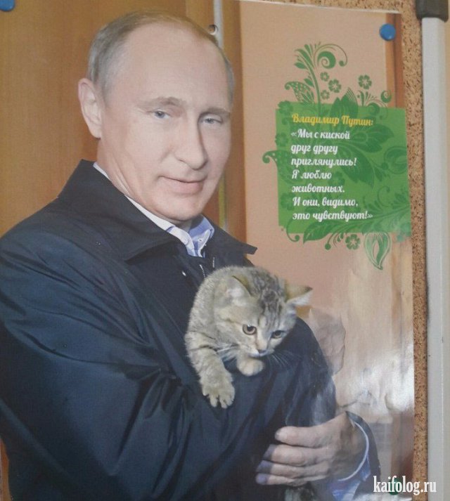 Россия - это балалайка, медведи и водка (55 фото)