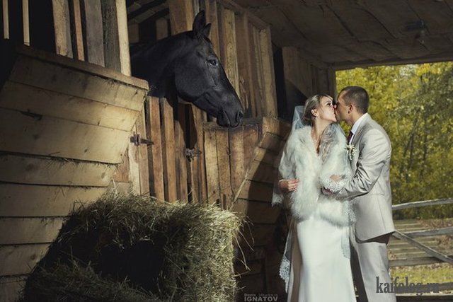 Свадебные фото бывают разные (50 приколов)