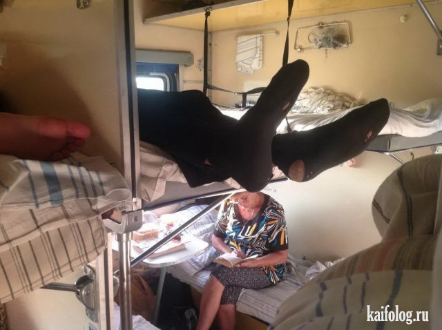 Новые ужасы российских поездов (50 фото)
