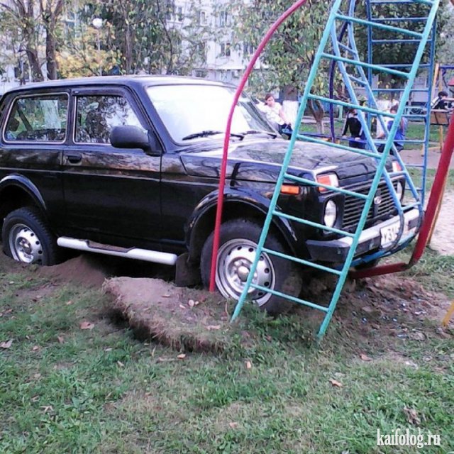 Как паркуются бараны (45 фото)