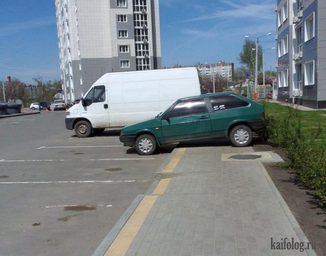 Как паркуются бараны (45 фото)