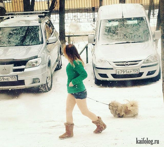 Суровые русские приколы про зиму (45 фото)