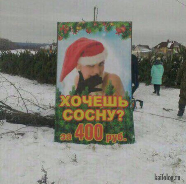 Смешные русские фото (60 штук)