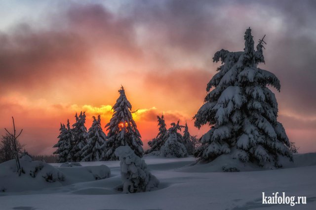 Настоящая красивая зима (55 фото)
