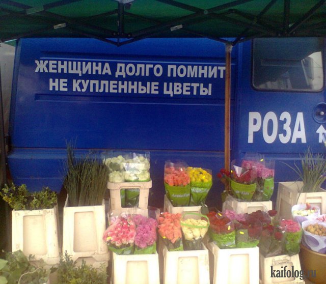 Украинские идиотизмы и приколы (55 фото)
