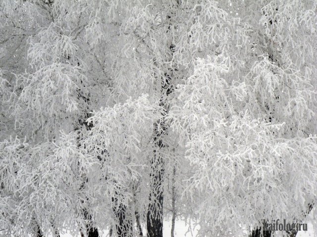 Коротко о погоде в Сибири (50 фото)