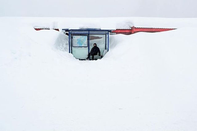 Приколы про настоящую зиму (50 фото)