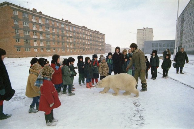 Маразмы и смешные фото из России (50 приколов)