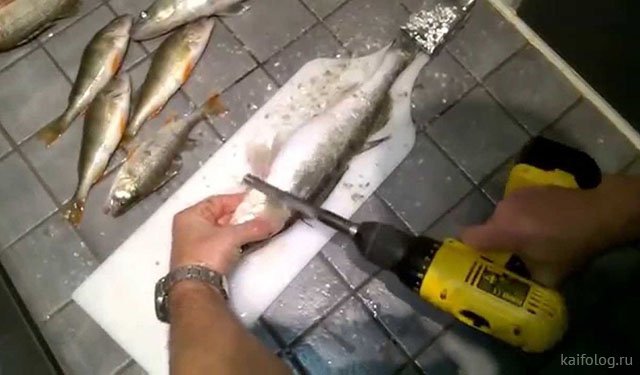 Нетрадиционные способы чистить рыбу (20 фото)