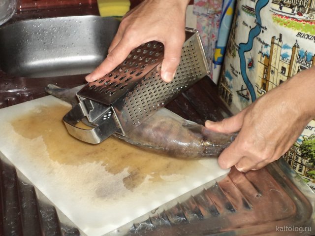 Нетрадиционные способы чистить рыбу (20 фото)