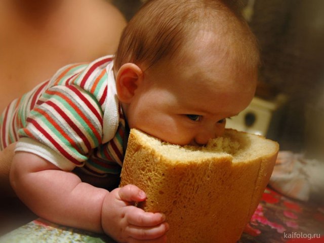 Приколы про хлеб (50 фото)