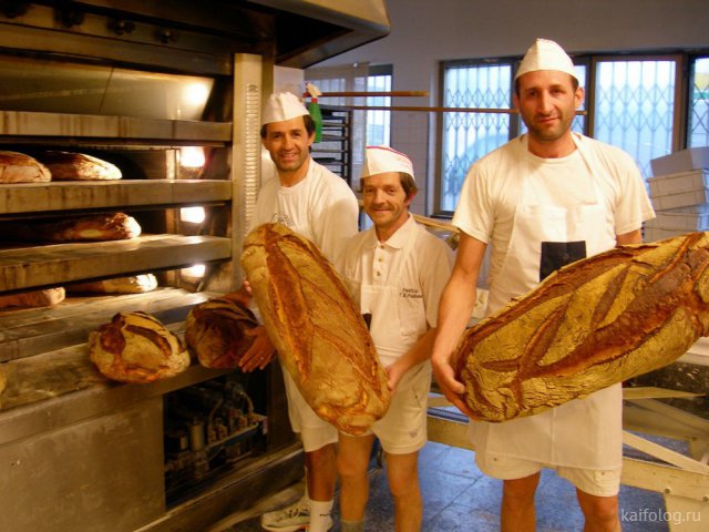 Приколы про хлеб (50 фото)
