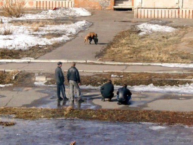 Ужасы русской провинции (40 фото)