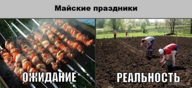 Вся правда про майские праздники в России (50 фото)