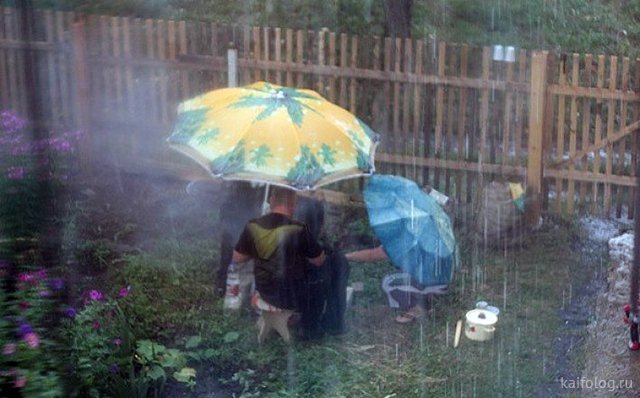 Приколы про дождь (50 фото)