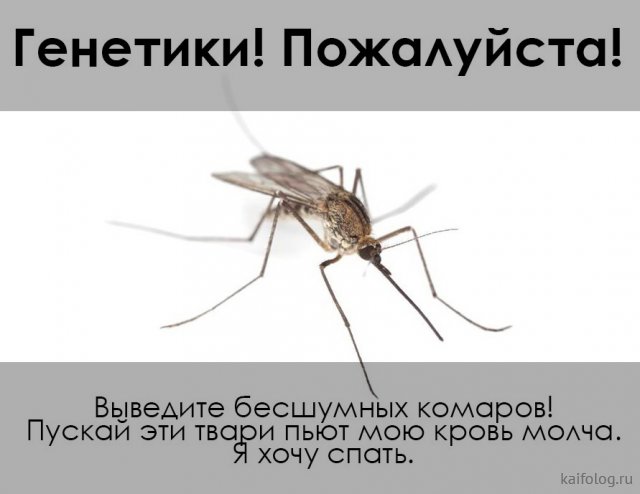 Приколы про комаров (35 картинок)