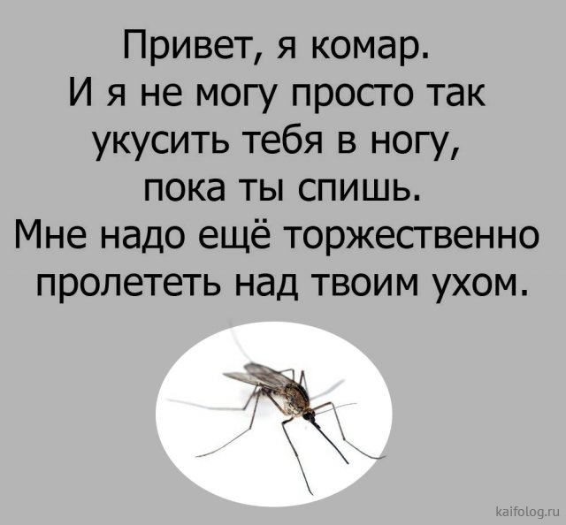 Приколы про комаров (35 картинок)