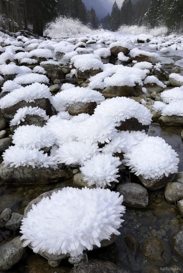 Снежные приколы (35 фото)
