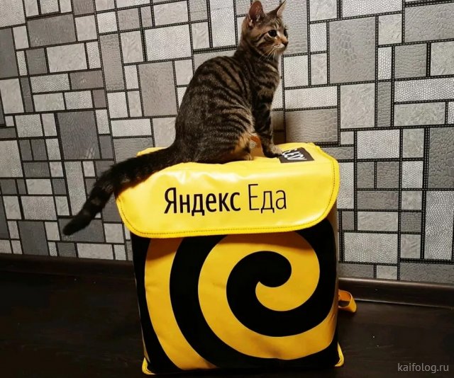 Приколы про Яндекс Еду и Delivery Club (40 фото)
