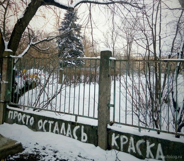 Маразмы из России (35 фото)