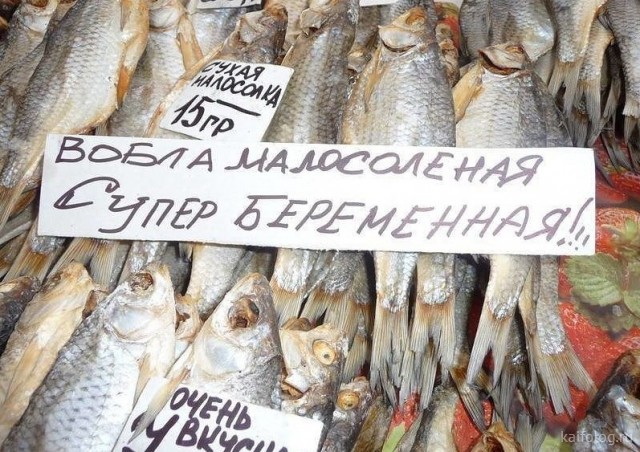 Приколы про рыбу (35 фото)
